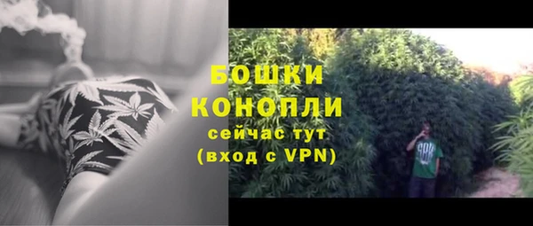 apvp Костерёво