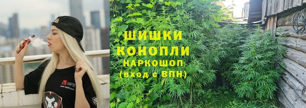 apvp Костерёво