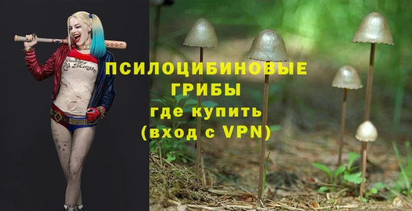 ALPHA-PVP Коряжма