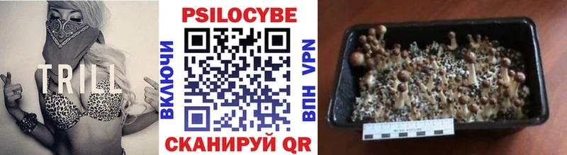 как найти   ОМГ ОМГ зеркало  Псилоцибиновые грибы мицелий  Омутнинск 